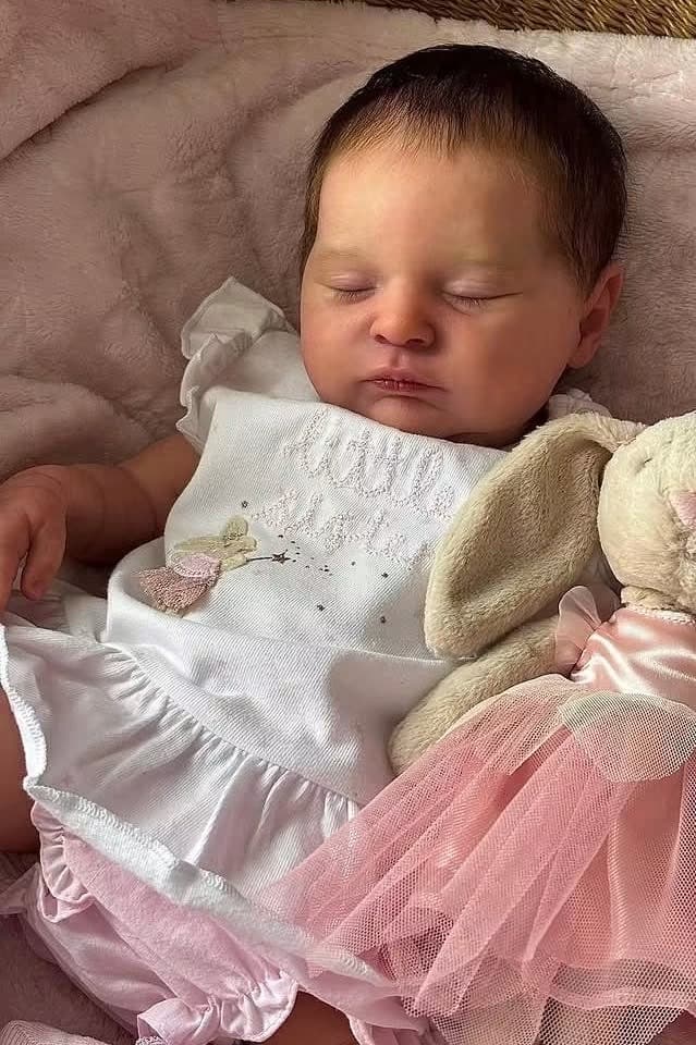 Stella Queen