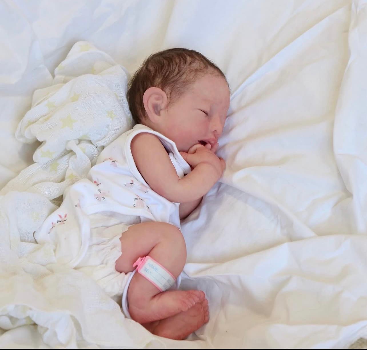 Lily Grace - Image 1