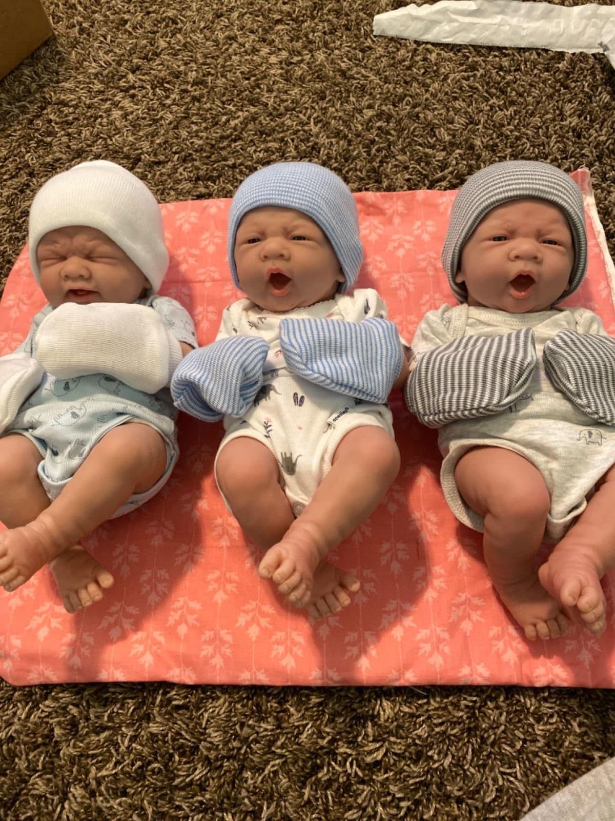 Luna ,Lily,Layla
